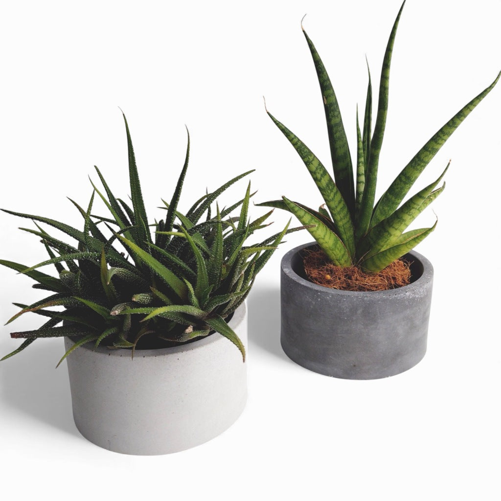 Kukki | Blumentopf Ø=11cm aus Beton