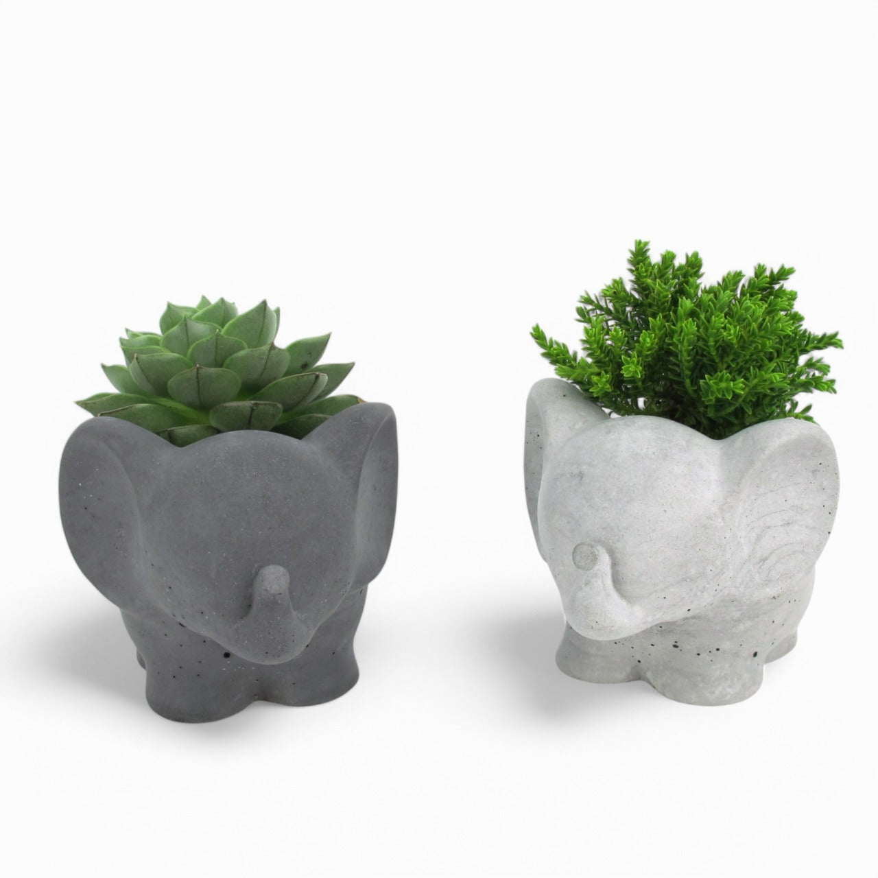 Tino | Elefant aus Beton