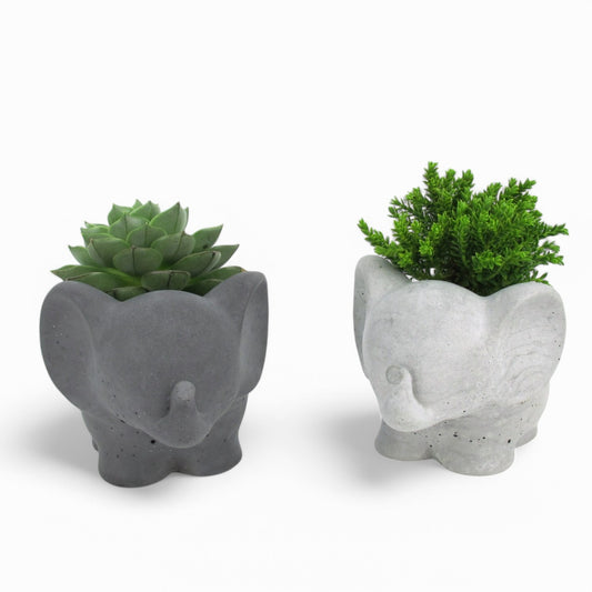 Tino | Elefant aus Beton