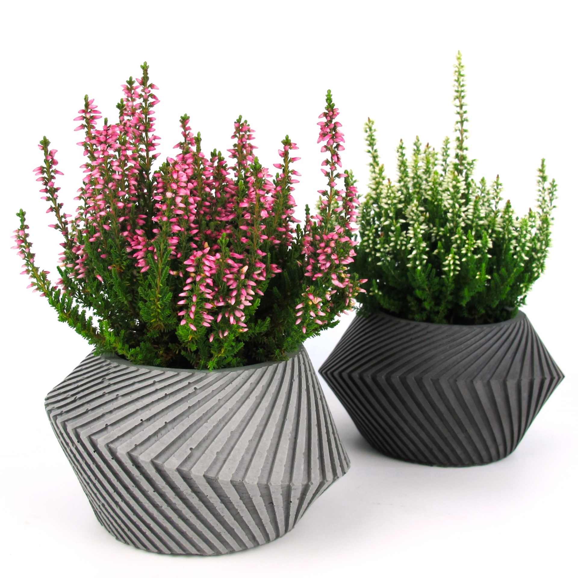 plant pots made in germany Keeris - abstract planter made of concrete | Handcrafted