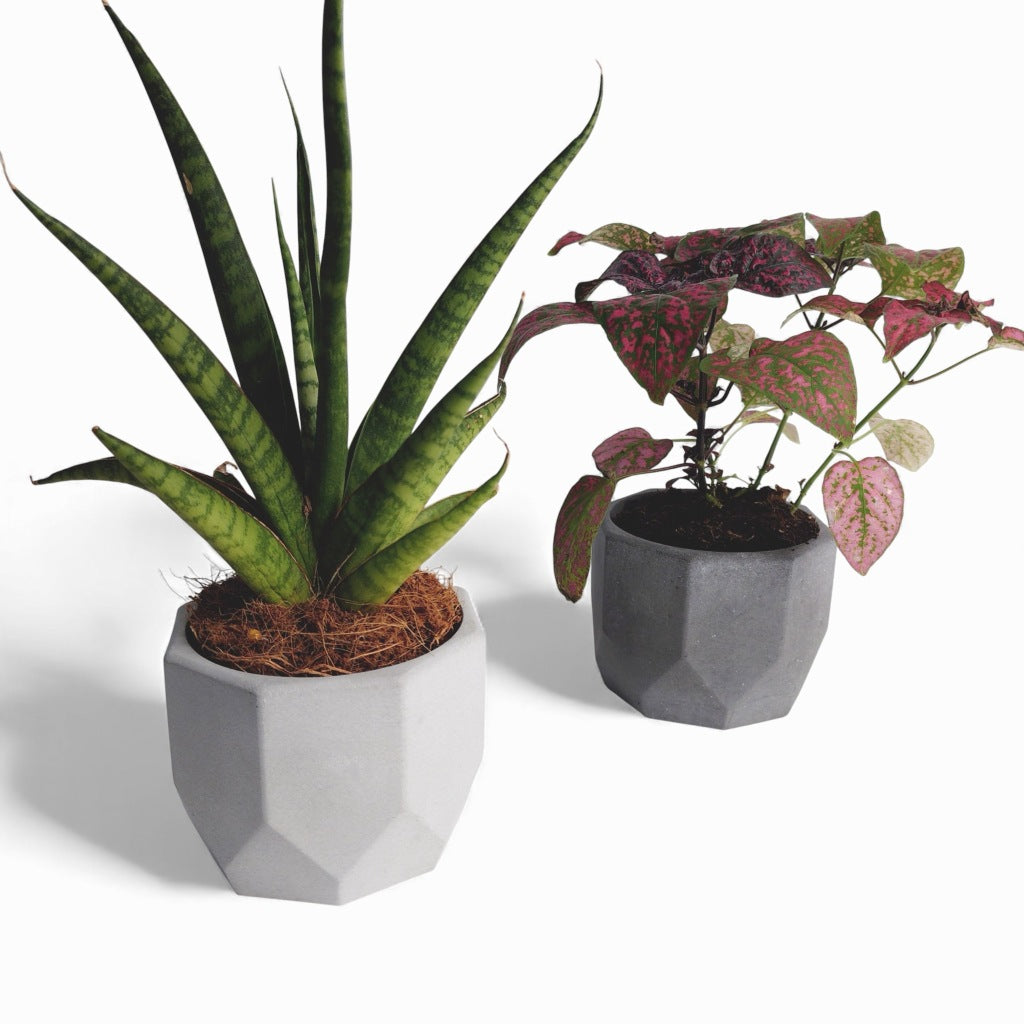 Dilnik | Blumentopf Ø=10cm aus Beton