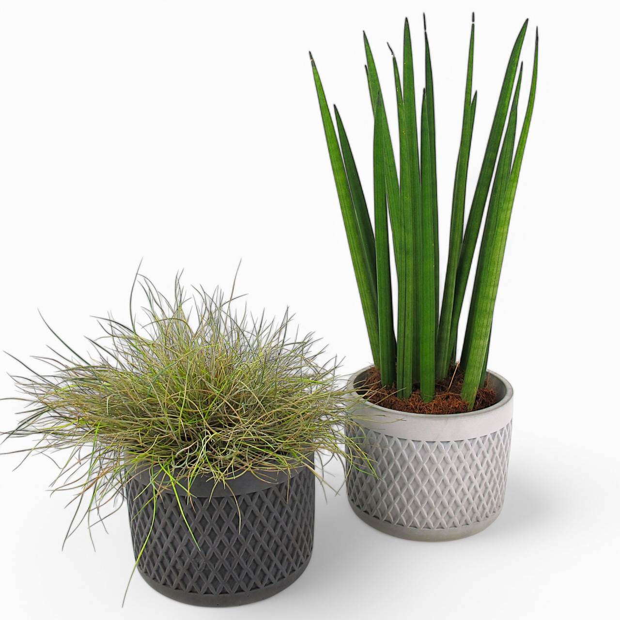 Tuvag | Flowerpot Ø=14cm made of concrete