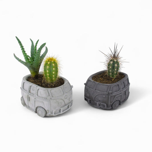 Husbil | Bus aus Beton