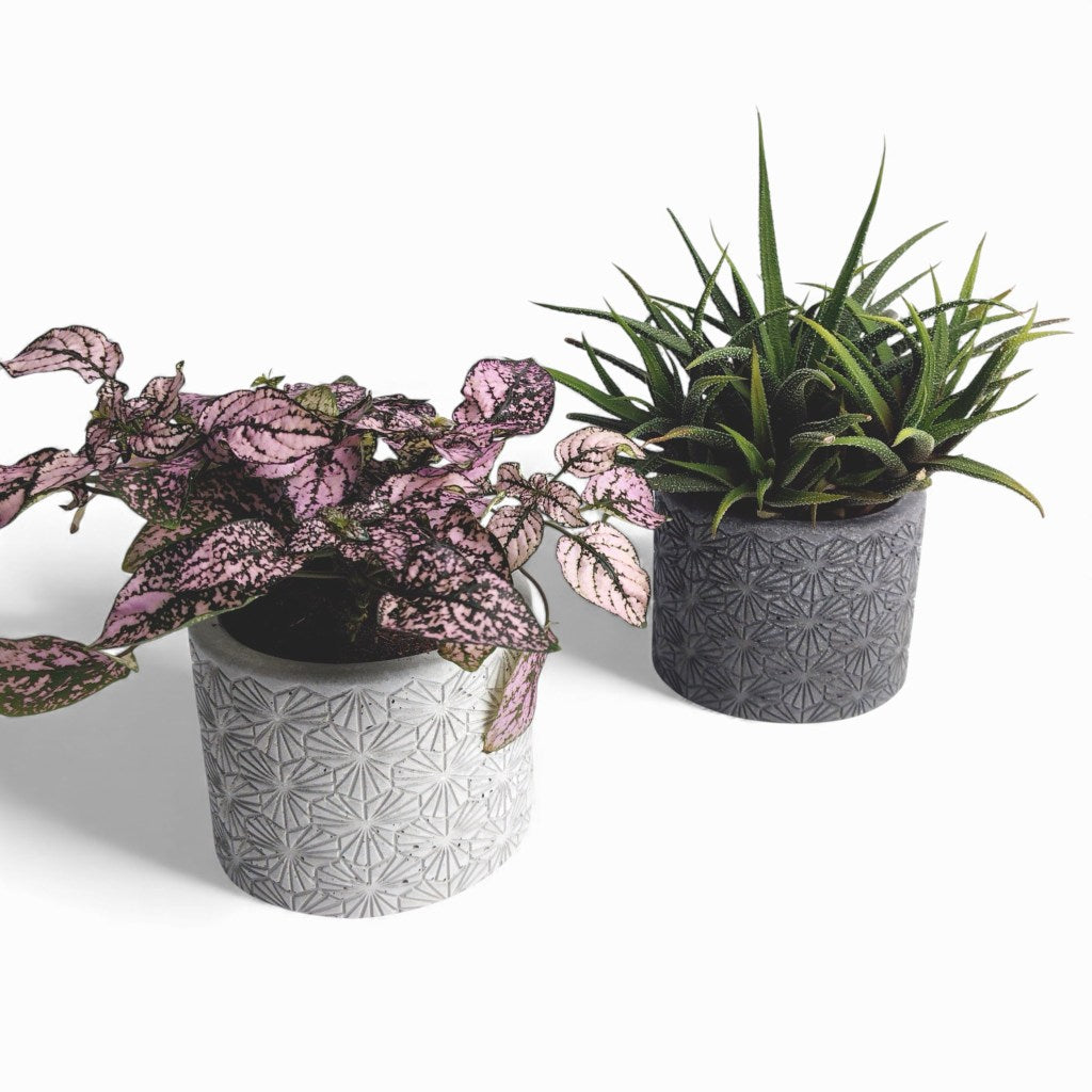 Tikko | Blumentopf Ø=10cm aus Beton