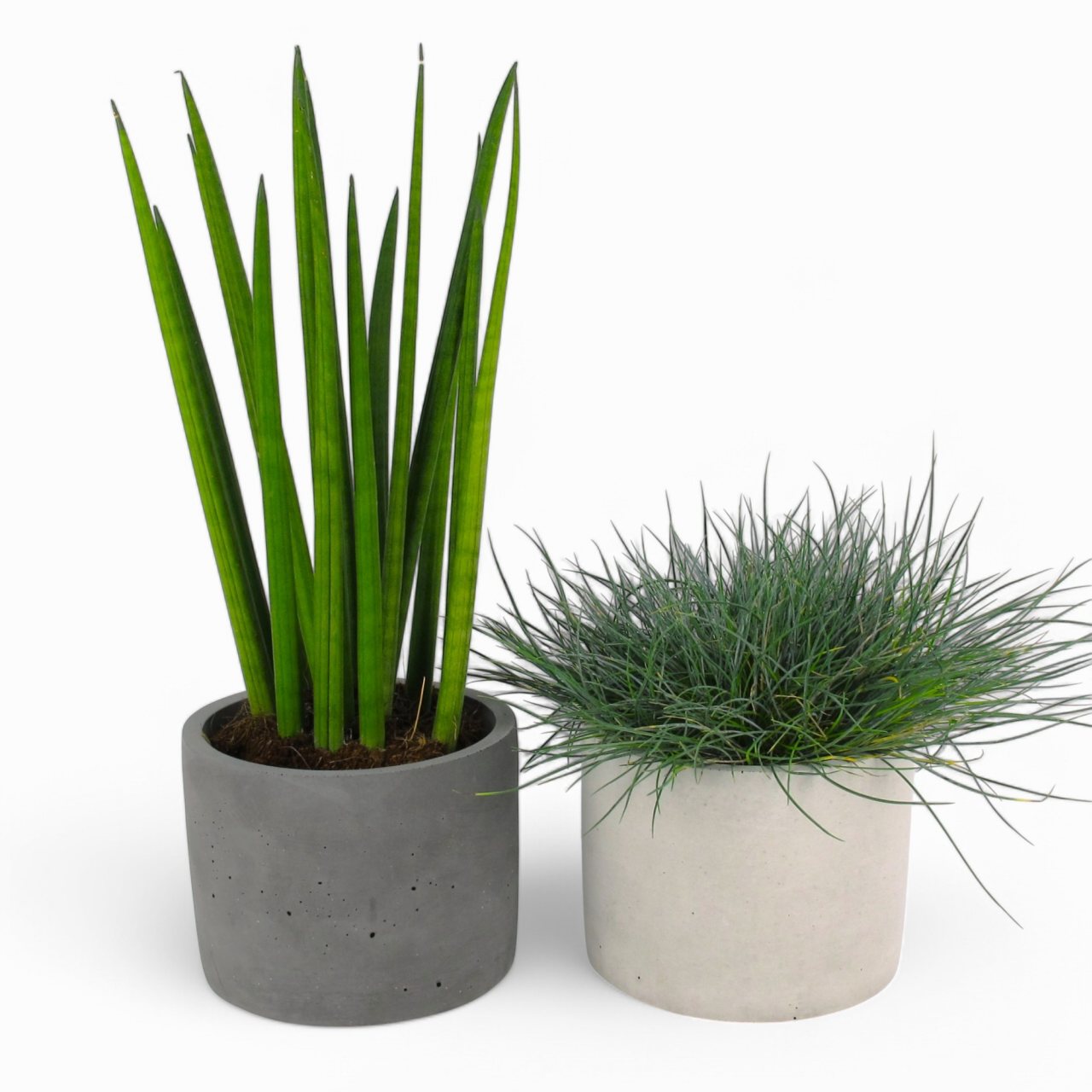 Maceta | Flowerpot Ø=15cm made of concrete