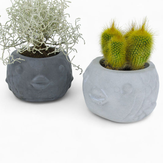 Uvis | Kugelfisch aus Beton