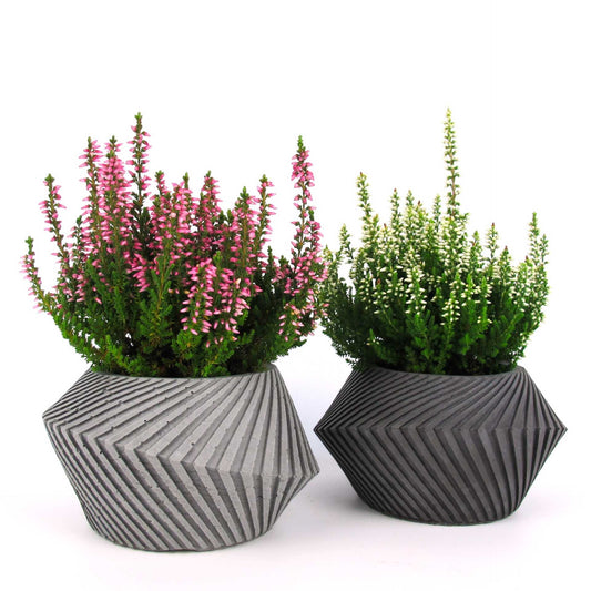 Keeris | Pflanzgefäß aus Beton