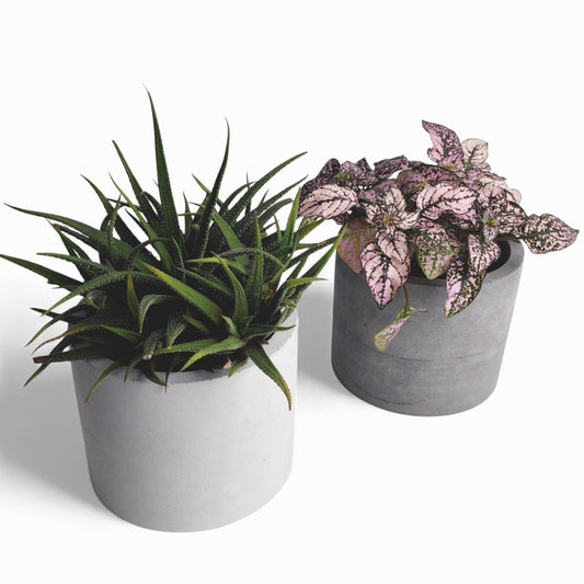 Kvety | Blumentopf Ø=12cm aus Beton