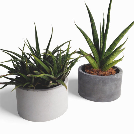 Kukki | Blumentopf Ø=11cm aus Beton