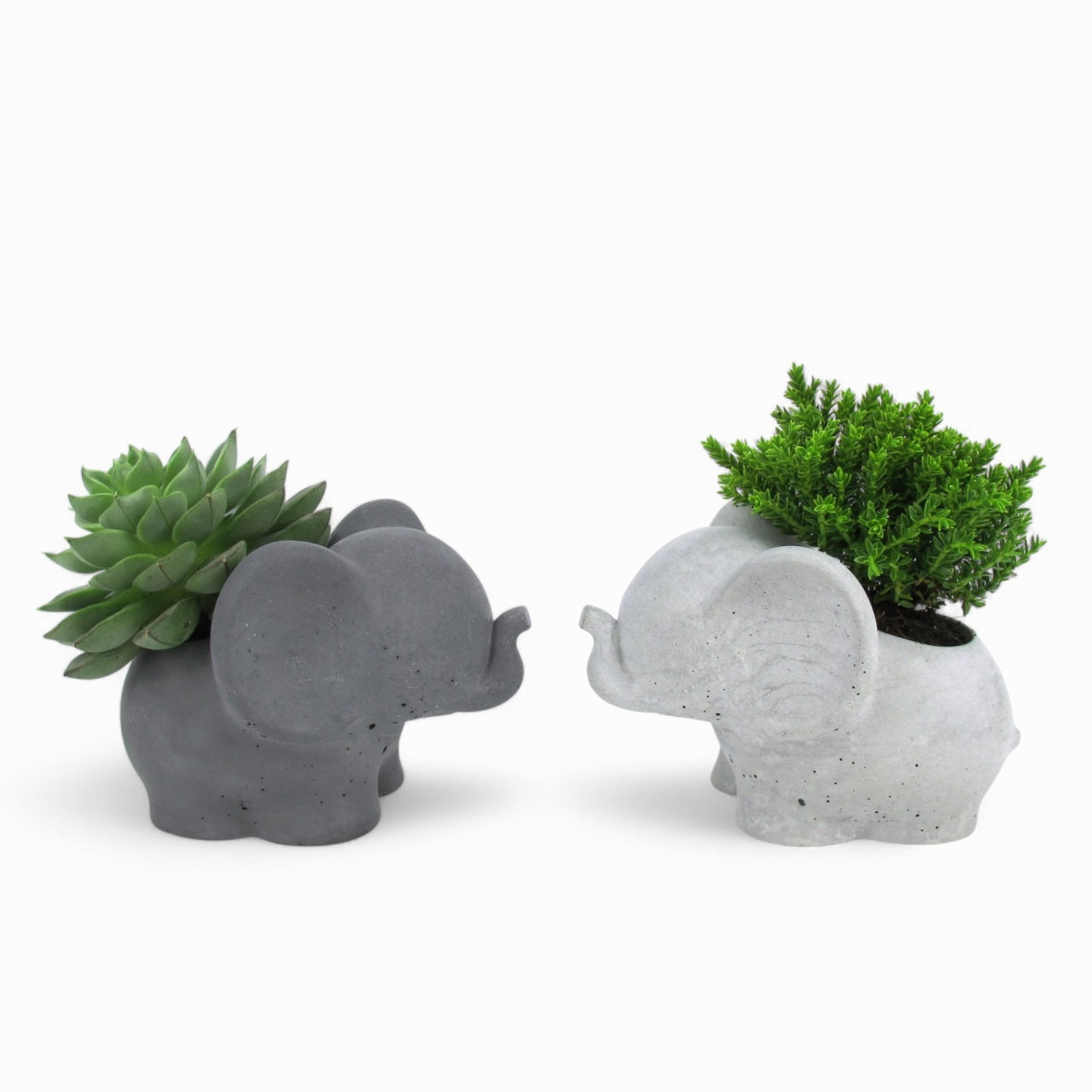 Tino | Elefant aus Beton