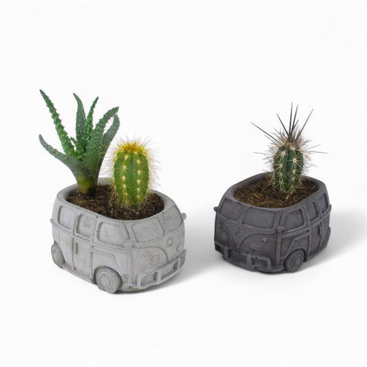 Husbil | Bus aus Beton