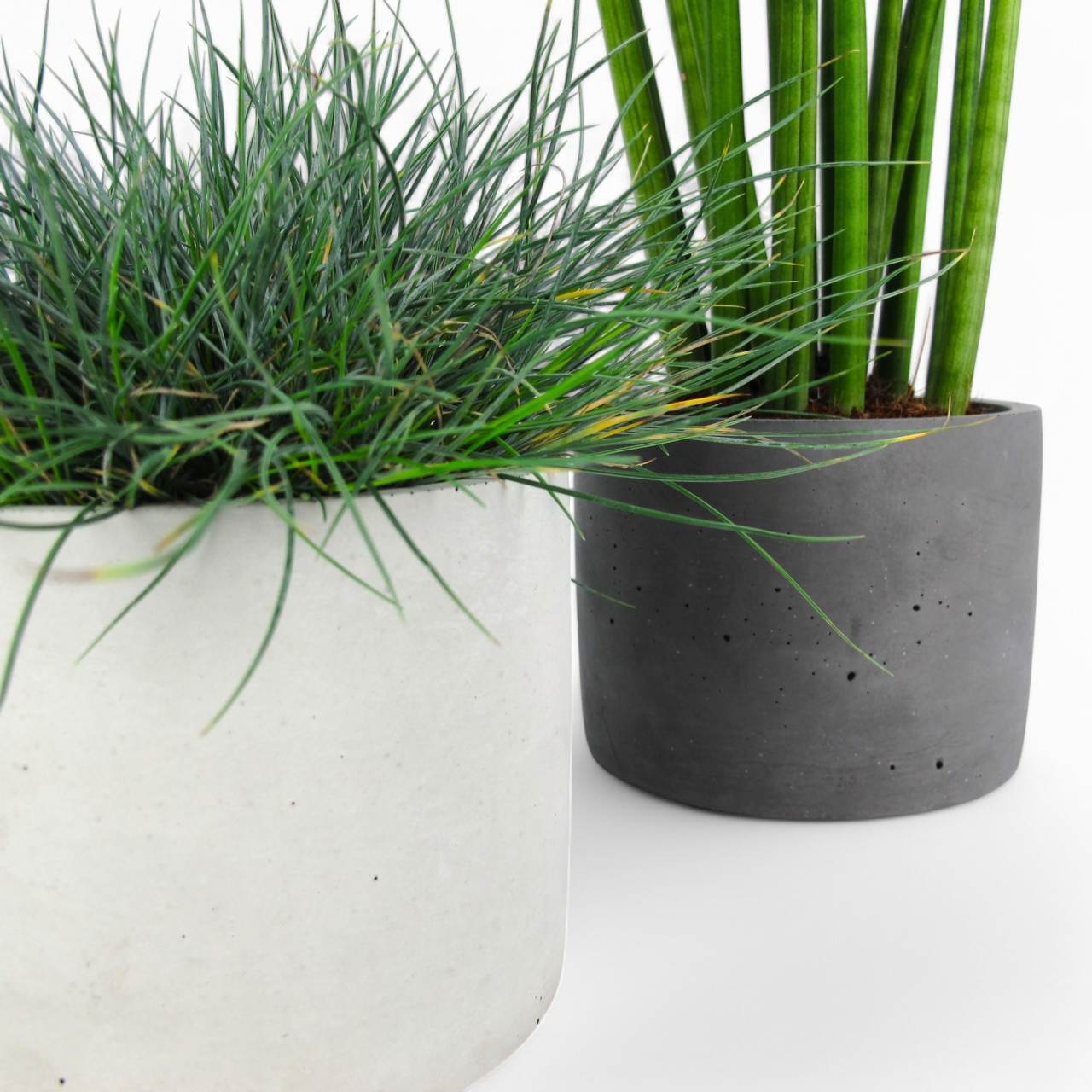 Maceta | Flowerpot Ø=15cm made of concrete