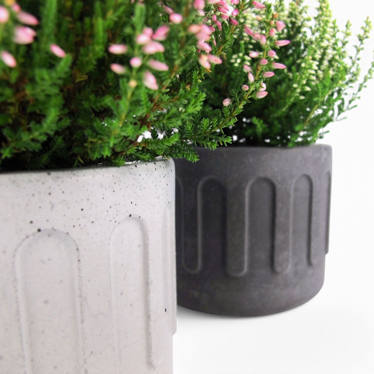 Tinn | Concrete planter