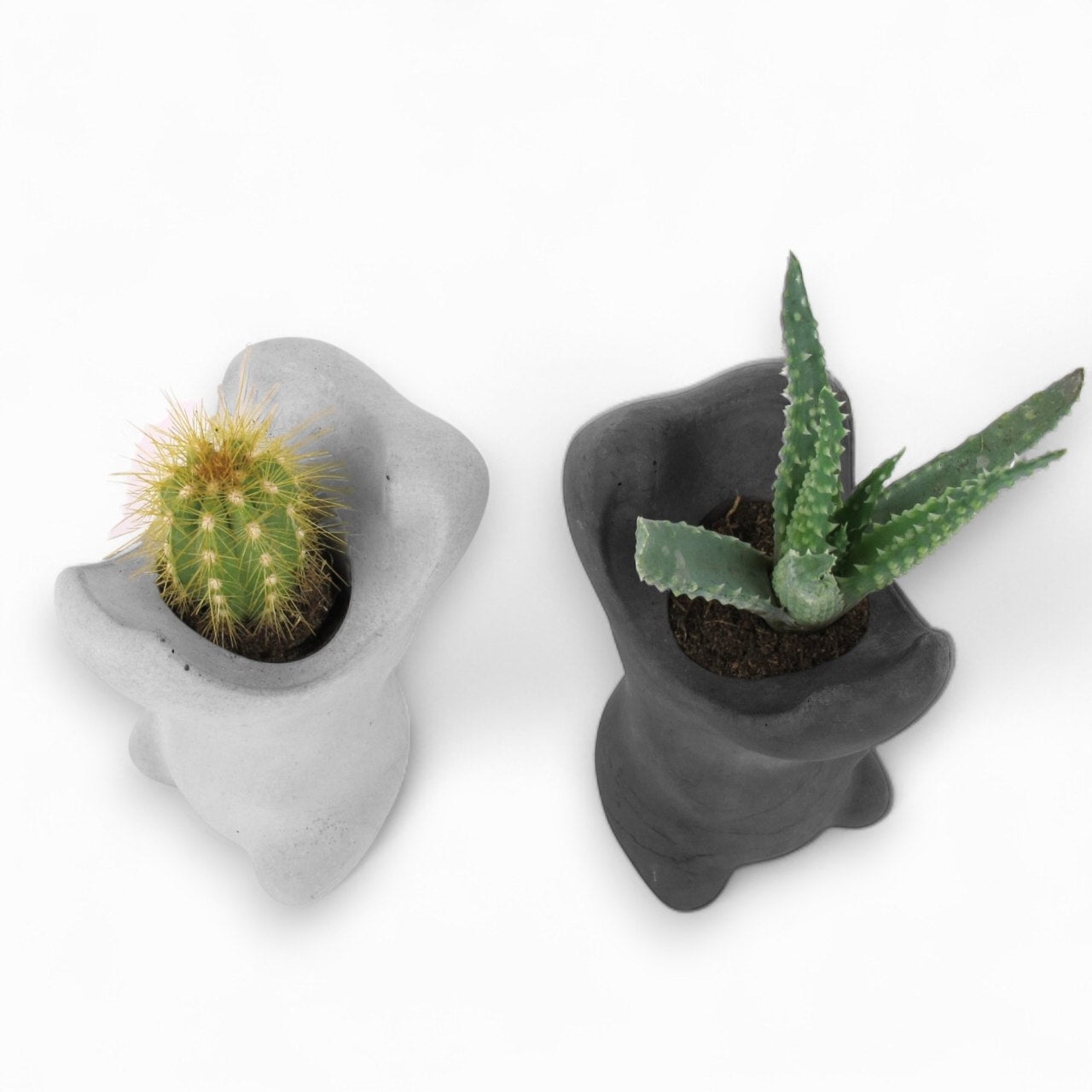 Hippo | Flusspferd aus Beton