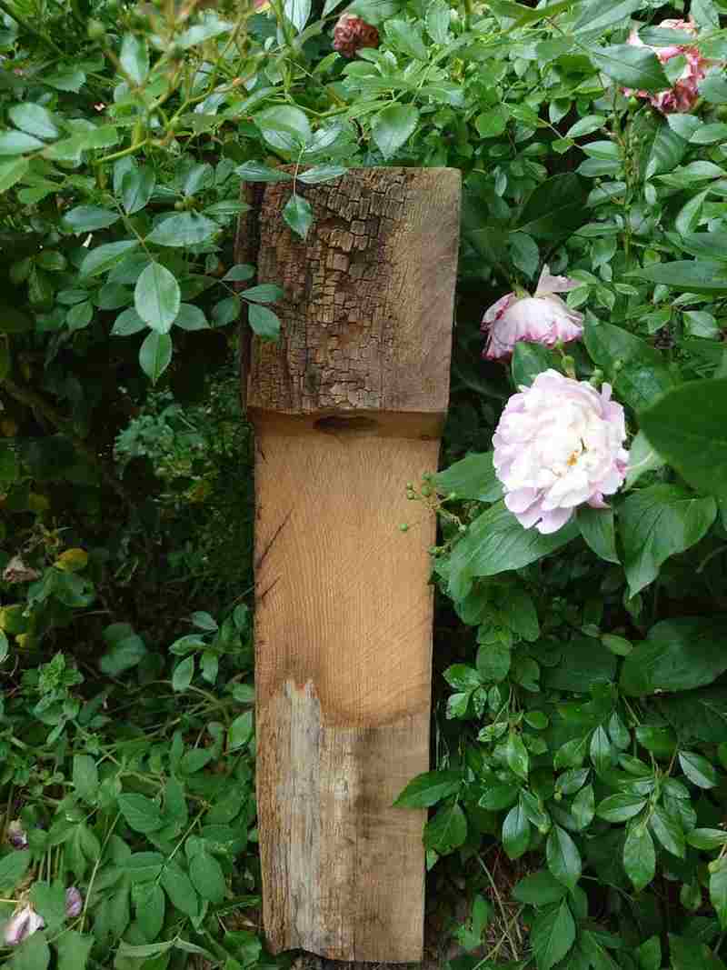 Nüri | Wegeleuchte aus Eiche 65cm