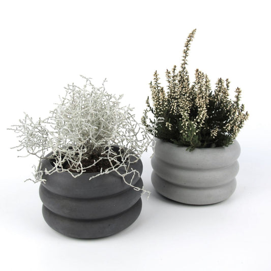 Flori | Flowerpot Ø=10cm made of concrete