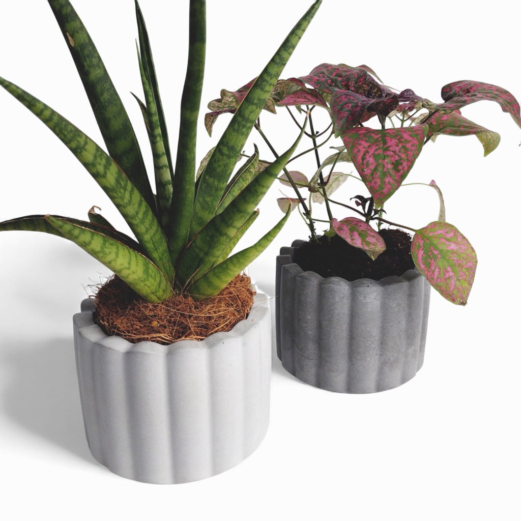 Zarka | Blumentopf Ø=10cm aus Beton