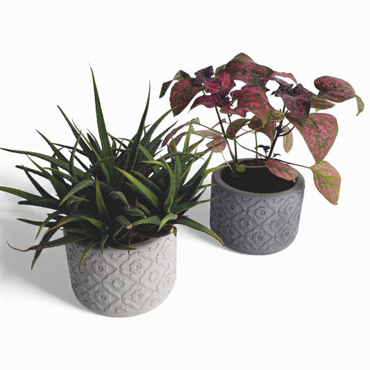 Vetina | Blumentopf Ø=10cm aus Beton