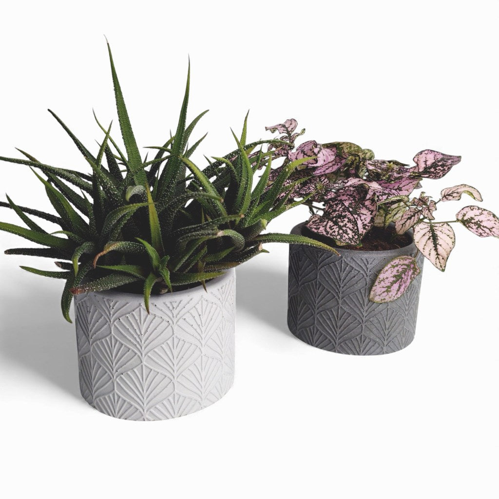 Sodin | Blumentopf Ø=10cm aus Beton