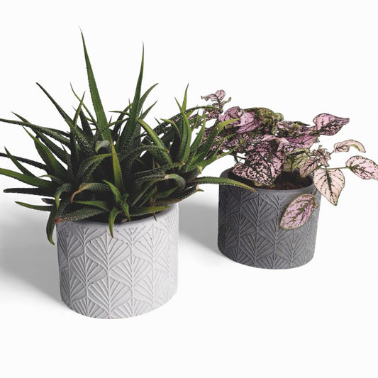 Sodin | Blumentopf Ø=10cm aus Beton