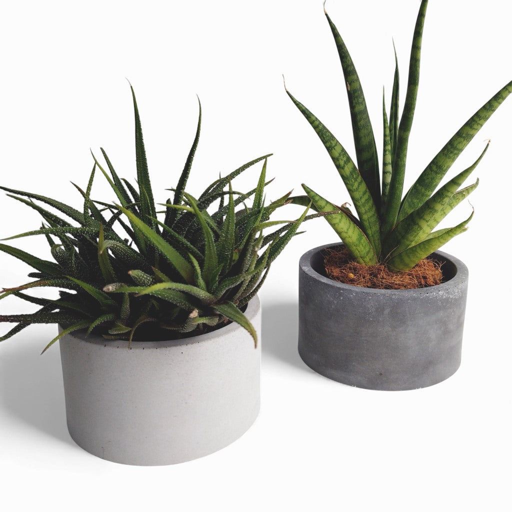 Kukki | Blumentopf Ø=11cm aus Beton