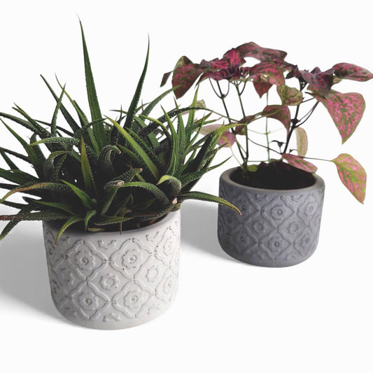 Vetina | Blumentopf Ø=10cm aus Beton