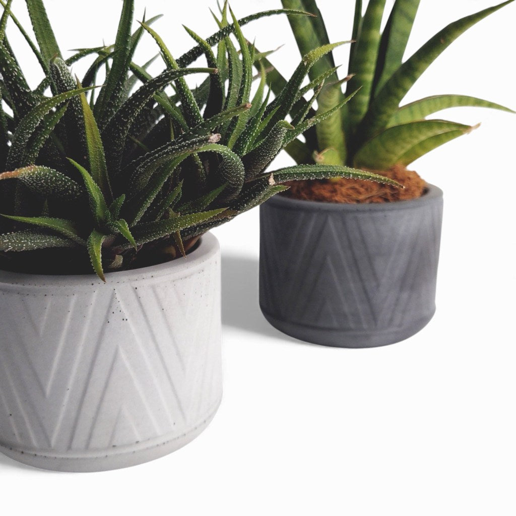 Puodas | Blumentopf Ø=10cm aus Beton