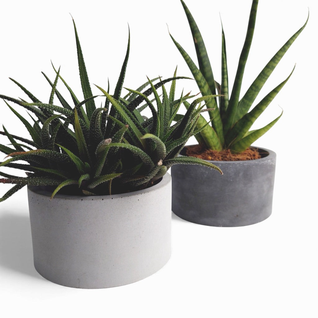 Kukki | Blumentopf Ø=11cm aus Beton