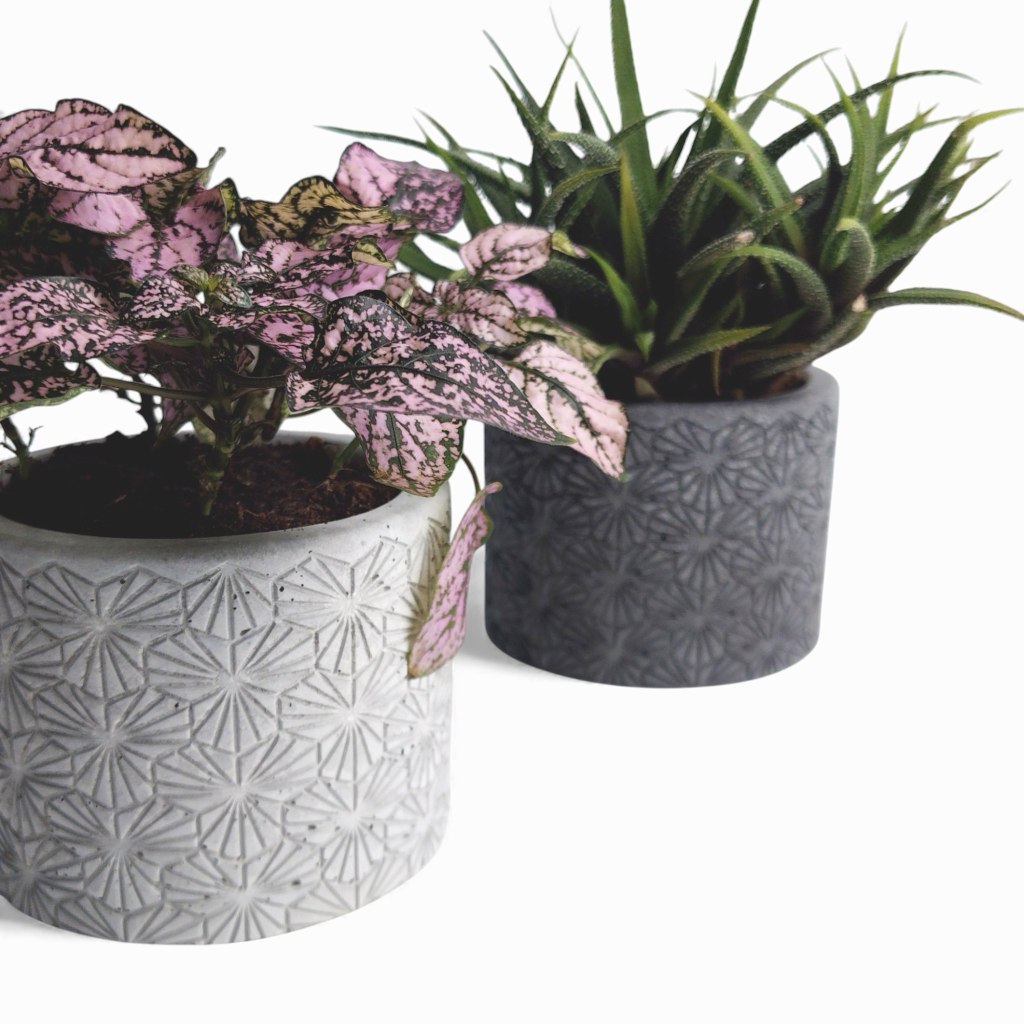 Tikko | Blumentopf Ø=10cm aus Beton